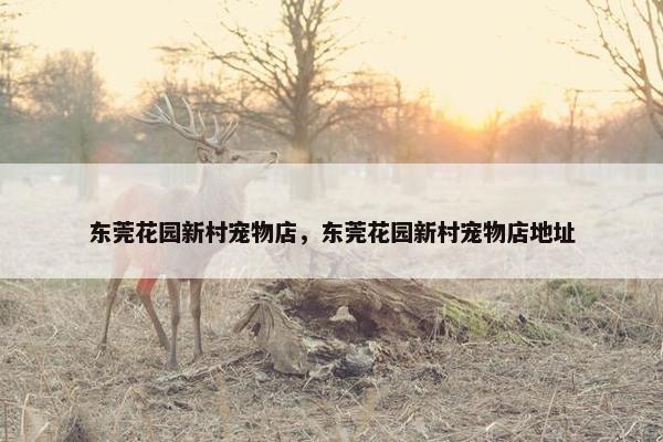 东莞花园新村宠物店，东莞花园新村宠物店地址