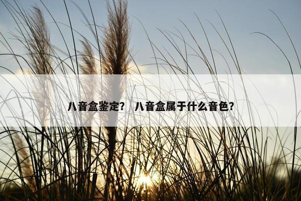 八音盒鉴定？ 八音盒属于什么音色？