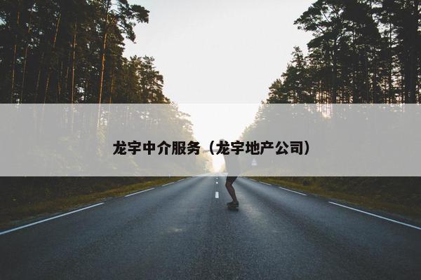 龙宇中介服务（龙宇地产公司）