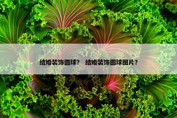 结婚装饰圆球? 结婚装饰圆球图片? 结婚装饰圆球? 结婚装饰圆球图片?