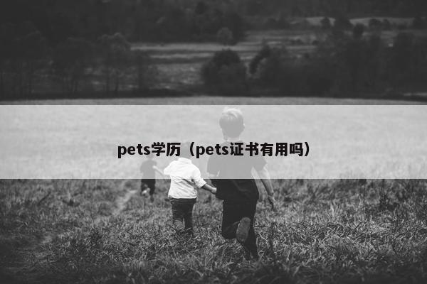 pets学历（pets证书有用吗）