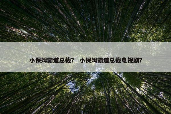 小保姆霸道总裁？ 小保姆霸道总裁电视剧？
