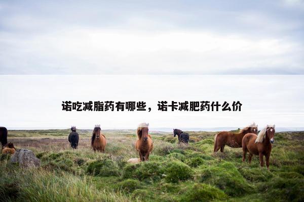 诺吃减脂药有哪些，诺卡减肥药什么价