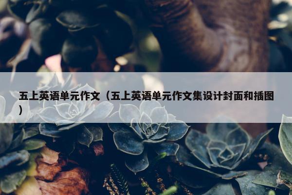 五上英语单元作文（五上英语单元作文集设计封面和插图）