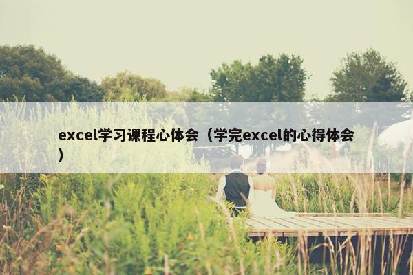 excel学习课程心体会（学完excel的心得体会）