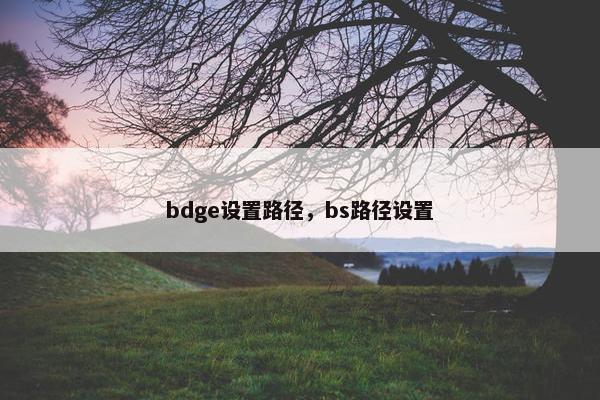 bdge设置路径,bs路径设置 bdge设置路径,bs路径设置