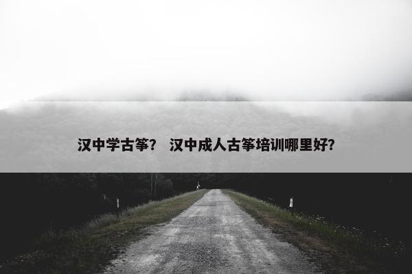汉中学古筝？ 汉中成人古筝培训哪里好？