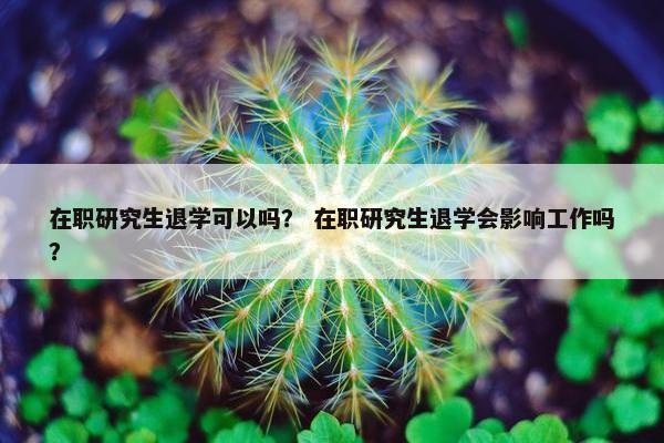 在职研究生退学可以吗？ 在职研究生退学会影响工作吗？