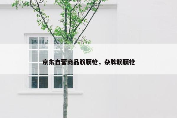 京东自营商品筋膜枪，杂牌筋膜枪