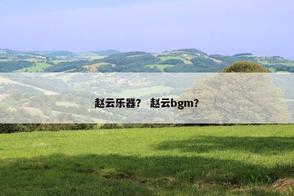 赵云乐器? 赵云bgm? 赵云乐器? 赵云bgm?