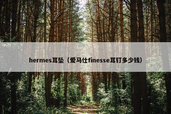 hermes耳坠（爱马仕finesse耳钉多少钱）