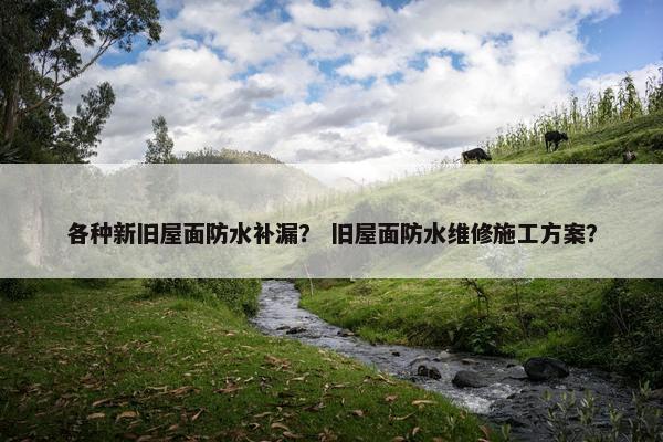 各种新旧屋面防水补漏? 旧屋面防水维修施工方案? 各种新旧屋面防水补漏? 旧屋面防水维修施工方案?