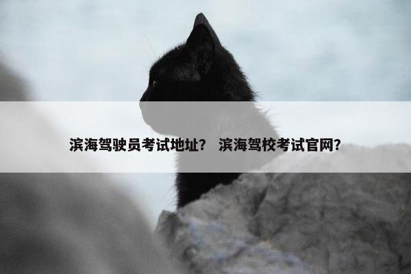 滨海驾驶员考试地址? 滨海驾校考试官网? 滨海驾驶员考试地址? 滨海驾校考试官网?