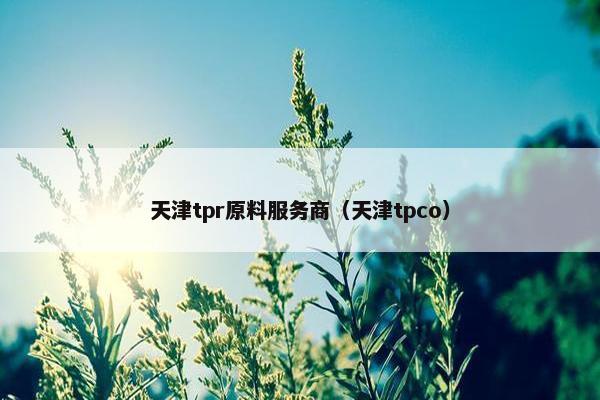 天津tpr原料服务商(天津tpco) 天津tpr原料服务商(天津tpco)