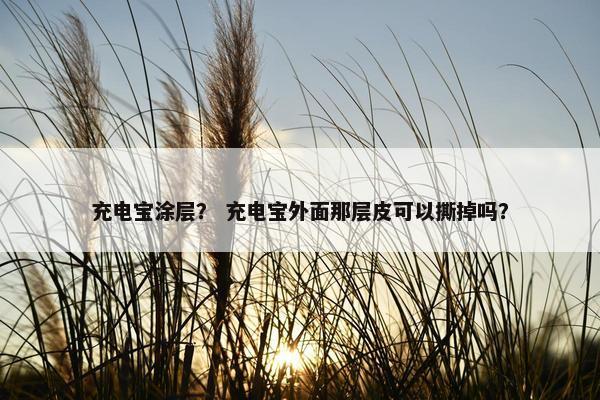 充电宝涂层？ 充电宝外面那层皮可以撕掉吗？