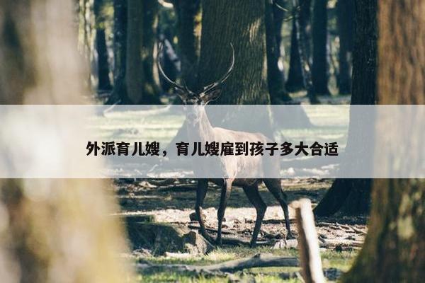 外派育儿嫂，育儿嫂雇到孩子多大合适