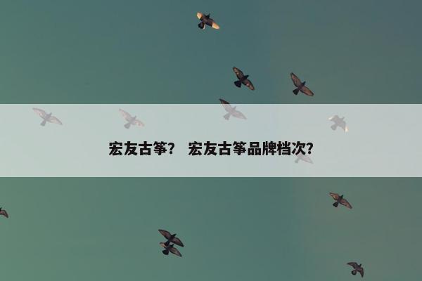 宏友古筝？ 宏友古筝品牌档次？