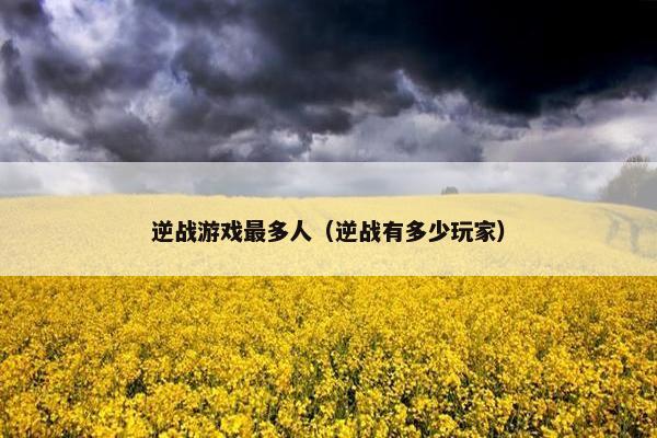 逆战游戏最多人（逆战有多少玩家）