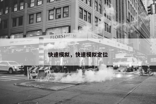 快速模拟，快速模拟定位