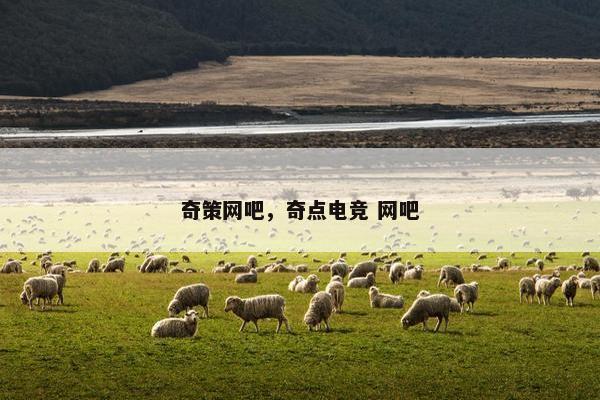 奇策网吧,奇点电竞 网吧 奇策网吧,奇点电竞 网吧