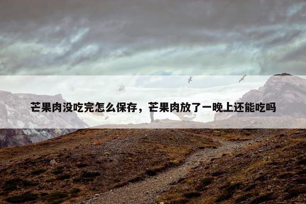 芒果肉没吃完怎么保存,芒果肉放了一晚上还能吃吗 芒果肉没吃完怎么保存,芒果肉放了一晚上还能吃吗