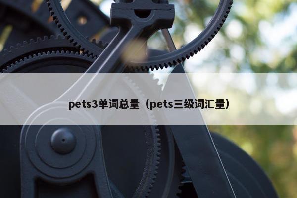 pets3单词总量（pets三级词汇量）