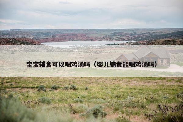 宝宝辅食可以喝鸡汤吗(婴儿辅食能喝鸡汤吗) 宝宝辅食可以喝鸡汤吗(婴儿辅食能喝鸡汤吗)