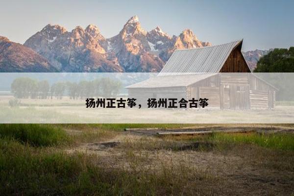 扬州正古筝，扬州正合古筝