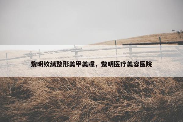 黎明纹绣整形美甲美瞳,黎明医疗美容医院 黎明纹绣整形美甲美瞳,黎明医疗美容医院