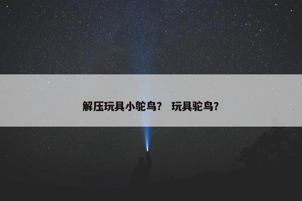 解压玩具小鸵鸟？ 玩具驼鸟？