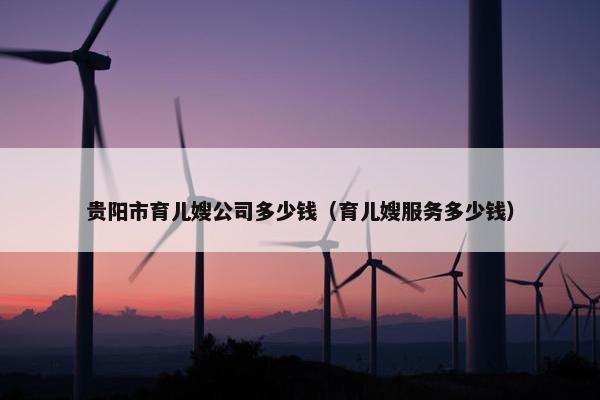 贵阳市育儿嫂公司多少钱（育儿嫂服务多少钱）