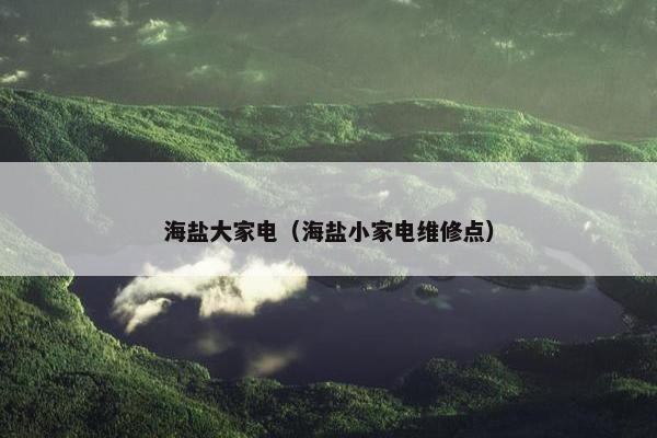 海盐大家电（海盐小家电维修点）