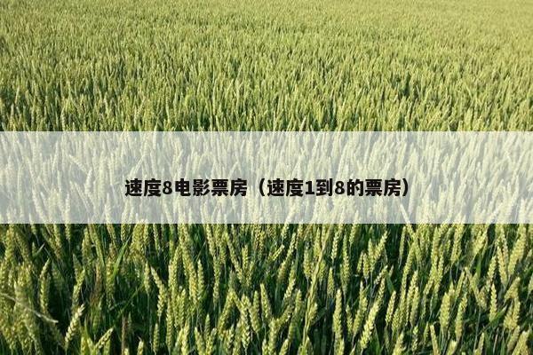 速度8电影票房（速度1到8的票房）