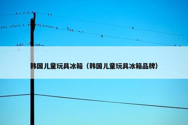 韩国儿童玩具冰箱(韩国儿童玩具冰箱品牌) 韩国儿童玩具冰箱(韩国儿童玩具冰箱品牌)