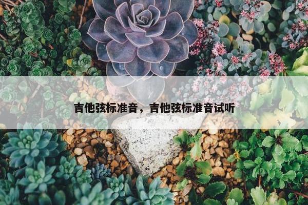 吉他弦标准音，吉他弦标准音试听
