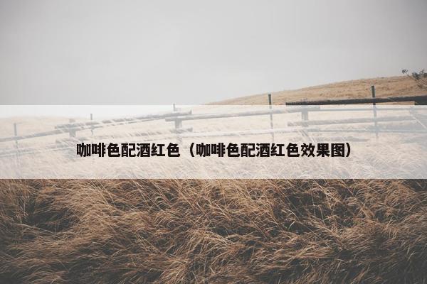 咖啡色配酒红色（咖啡色配酒红色效果图）