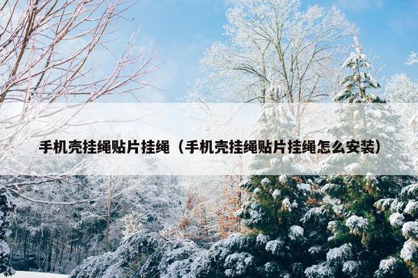 手机壳挂绳贴片挂绳（手机壳挂绳贴片挂绳怎么安装）