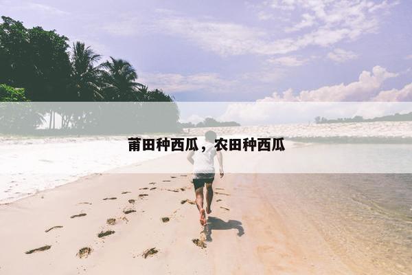 莆田种西瓜，农田种西瓜