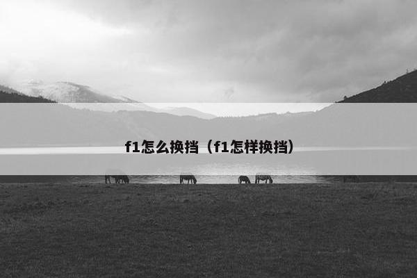 f1怎么换挡（f1怎样换挡）