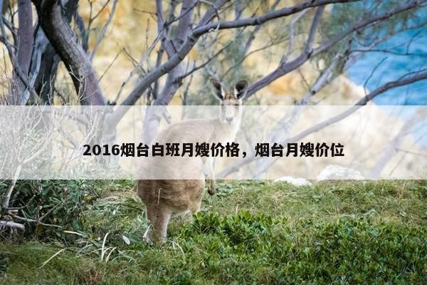 2016烟台白班月嫂价格，烟台月嫂价位