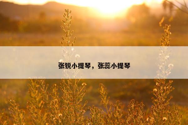 张锐小提琴，张蕊小提琴