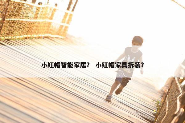 小红帽智能家居？ 小红帽家具拆装？