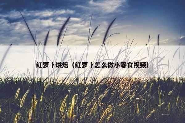 红萝卜烘焙（红萝卜怎么做小零食视频）