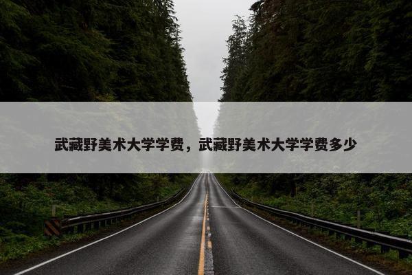 武藏野美术大学学费，武藏野美术大学学费多少