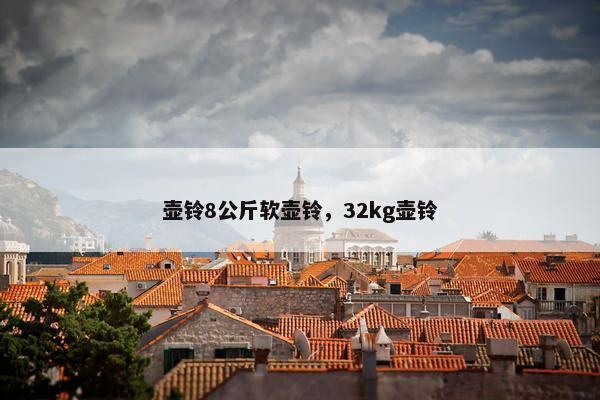 壶铃8公斤软壶铃,32kg壶铃 壶铃8公斤软壶铃,32kg壶铃