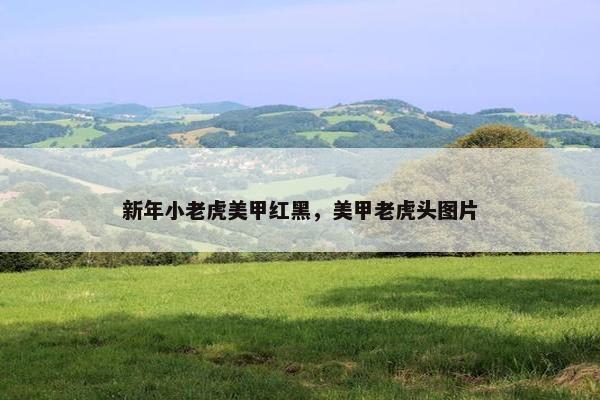 新年小老虎美甲红黑，美甲老虎头图片