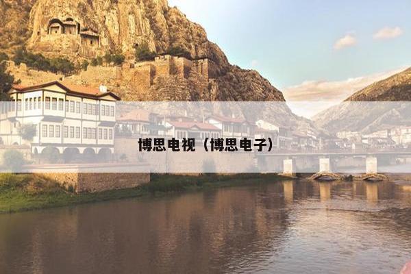 博思电视（博思电子）