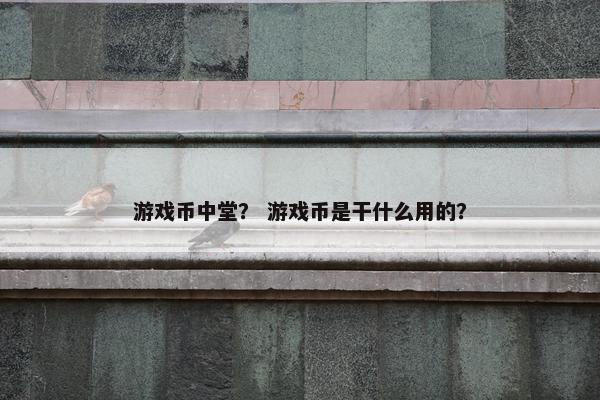 游戏币中堂? 游戏币是干什么用的? 游戏币中堂? 游戏币是干什么用的?