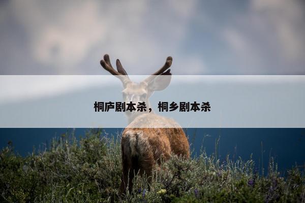 桐庐剧本杀，桐乡剧本杀