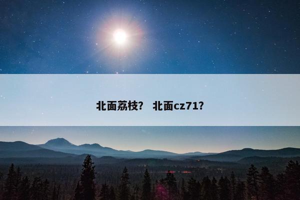 北面荔枝？ 北面cz71？